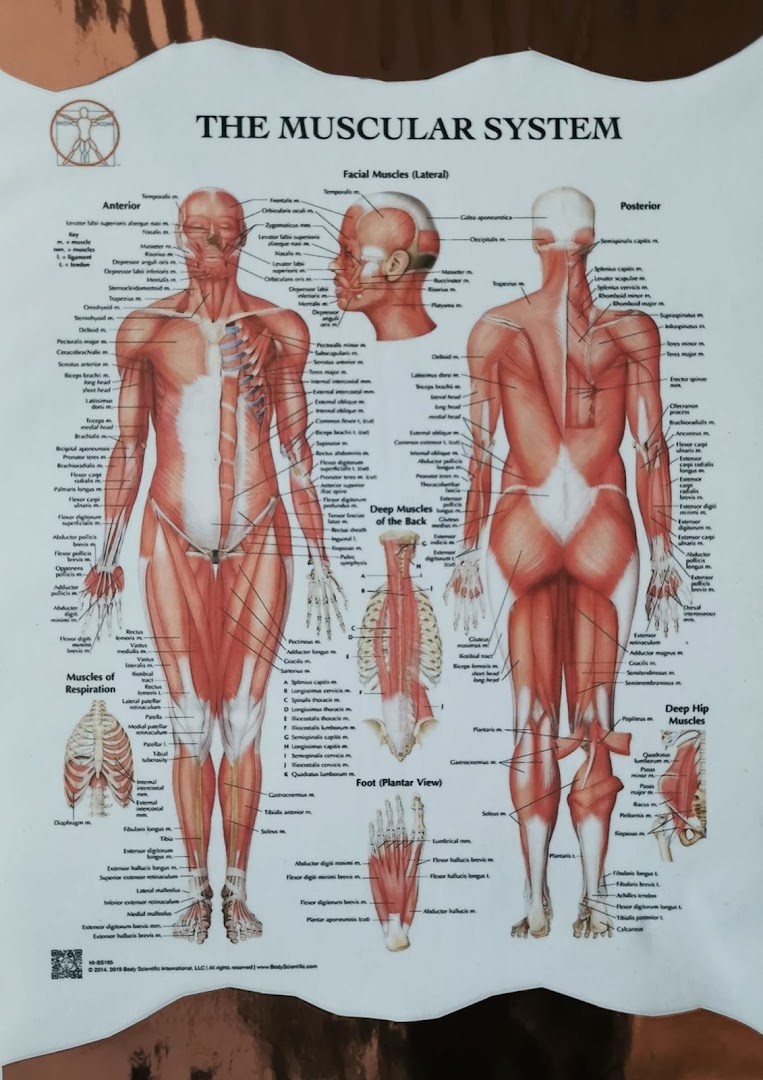 Happy Minds Massage Therapy · Photos 1